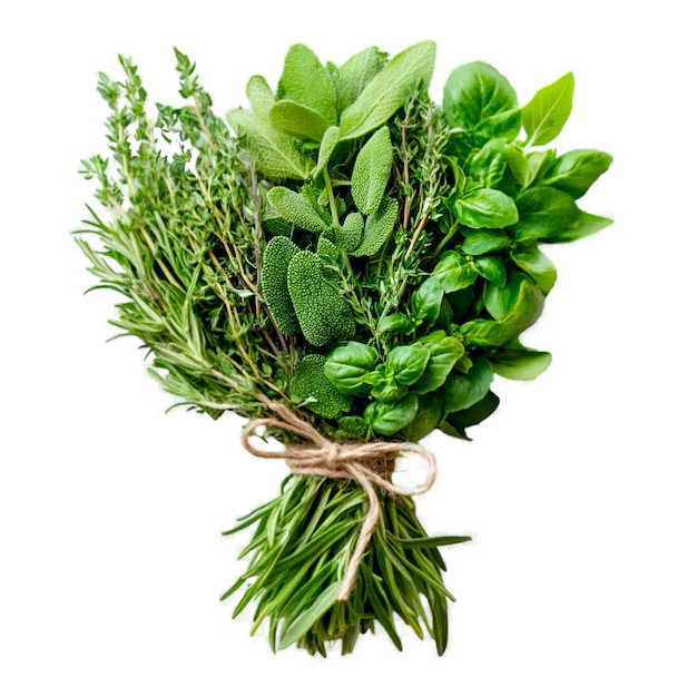 Herbes aromatiques